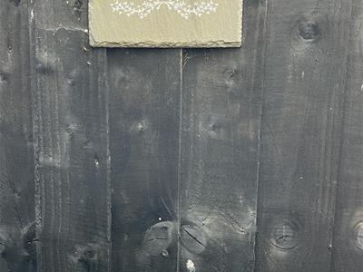 Picture 27